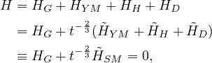 H = H  + H    + H   + H
      G    Y2M     H    D
  = HG + t-3(H˜Y M + H˜H + H˜D )
  ≡ H  + t- 23H˜  = 0,
      G       SM
